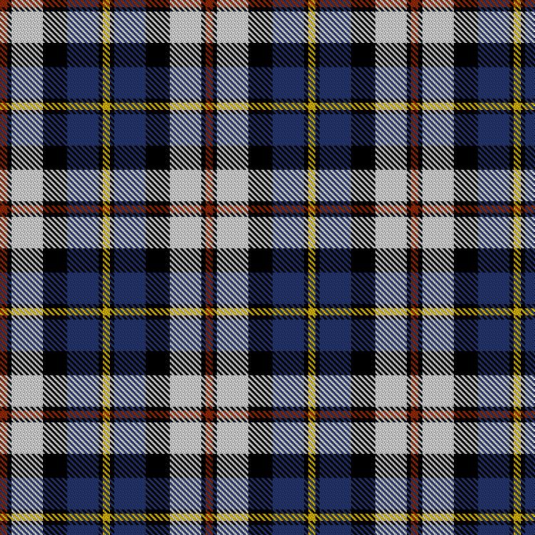 Tartan image: MacCrimmon from Skye Dress. Click on this image to see a more detailed version.
