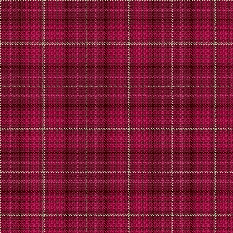 Tartan image: Launch Pink. Click on this image to see a more detailed version.