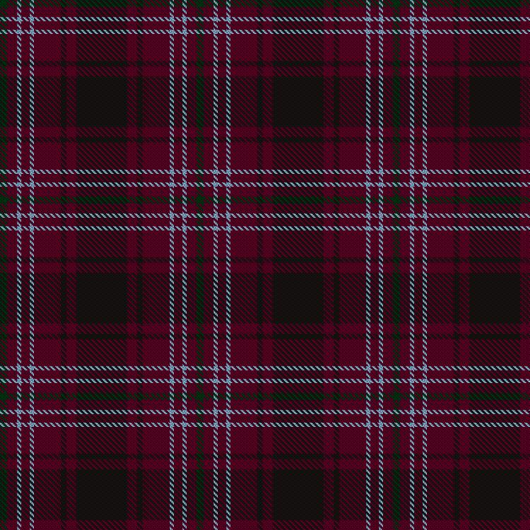 Tartan image: Boe, Alfie (Personal). Click on this image to see a more detailed version.