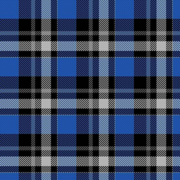 Tartan image: Feng, Mingli, & Family (Personal). Click on this image to see a more detailed version.