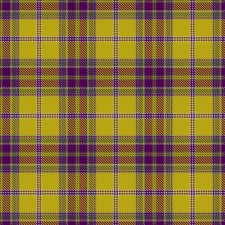 Tartan image: Mortimer, Rachael and Natalie (Personal). Click on this image to see a more detailed version.