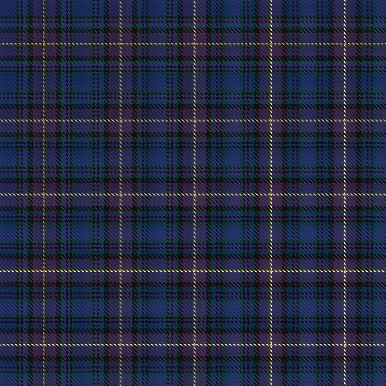 Tartan image: Wilkinson, Emma & Family (Personal). Click on this image to see a more detailed version.