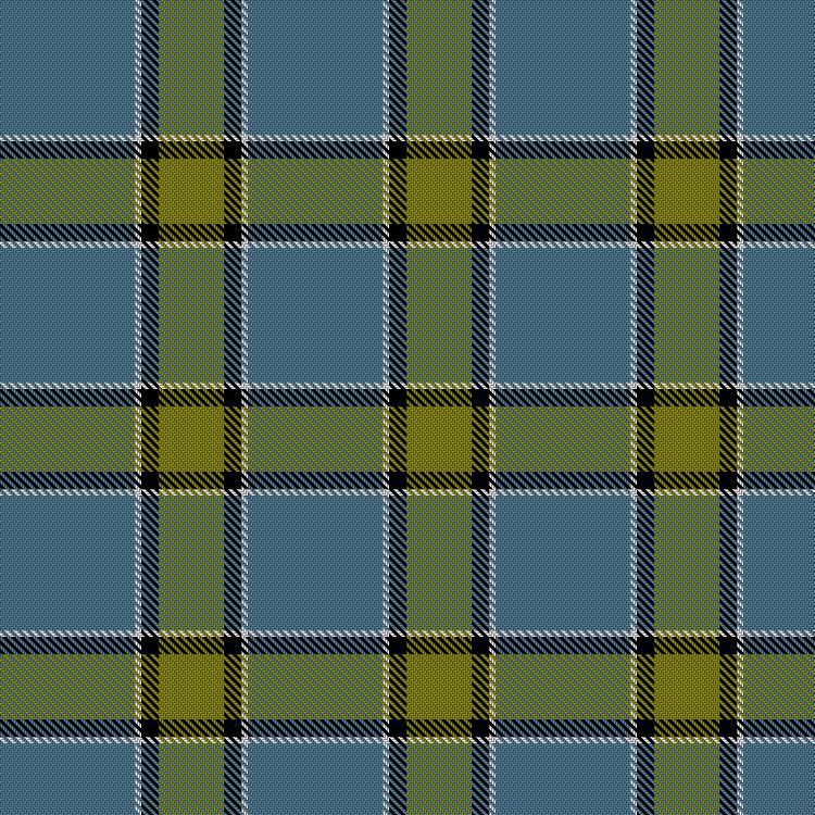 Tartan image: Twechar Village. Click on this image to see a more detailed version.
