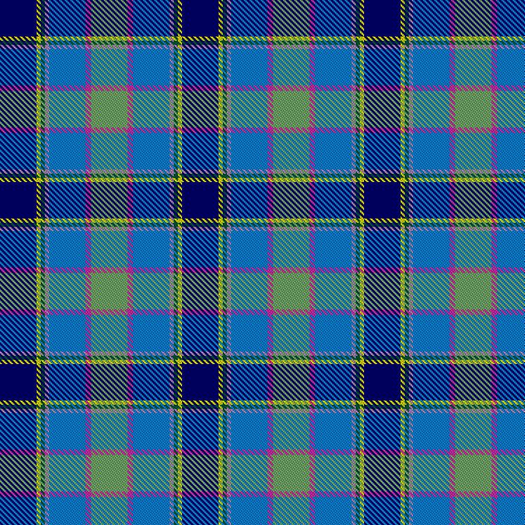 Tartan image: Haymes, David and Hockema, Rachel (Personal). Click on this image to see a more detailed version.