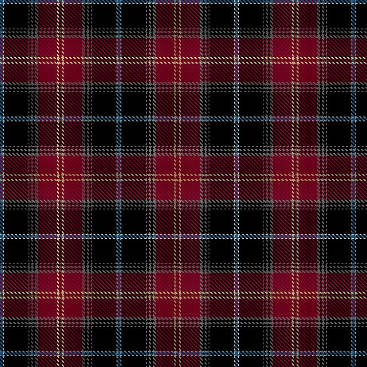 Tartan image: Aberdeen City Council. Click on this image to see a more detailed version.