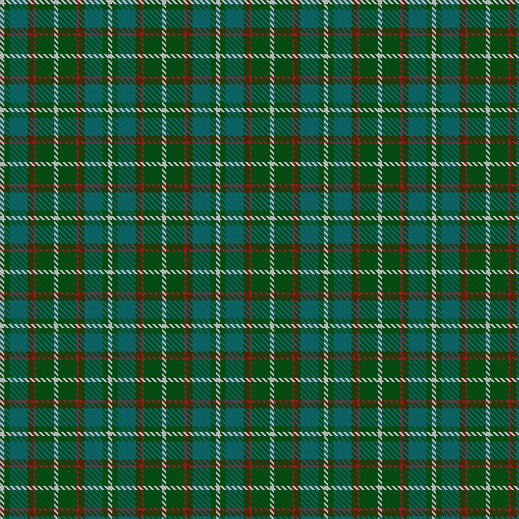 Tartan image: Charlotte County Association for the Preservation of Virginia Antiquities. Click on this image to see a more detailed version.
