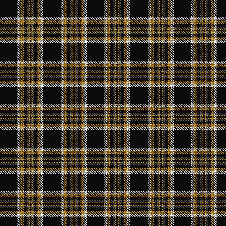 Tartan image: Dumbarton Football Club. Click on this image to see a more detailed version.