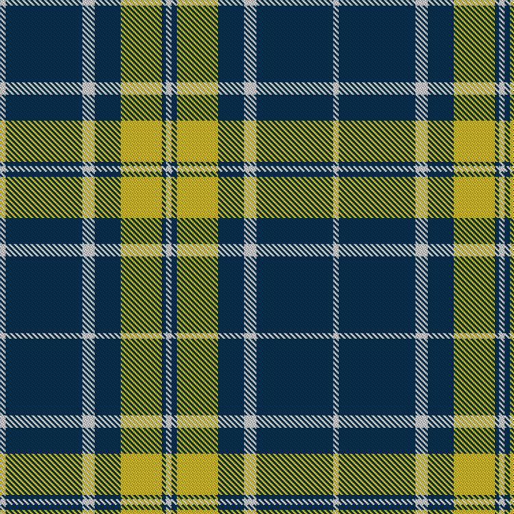 Tartan image: Wolher. Click on this image to see a more detailed version.