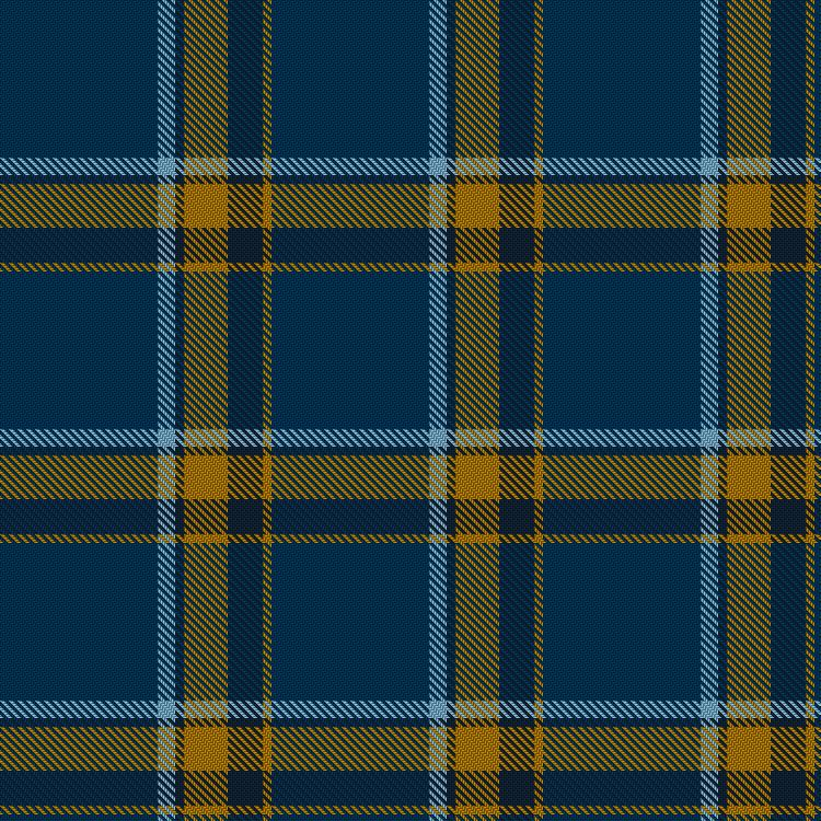 Tartan image: Mias, E & Baker, R (Personal). Click on this image to see a more detailed version.