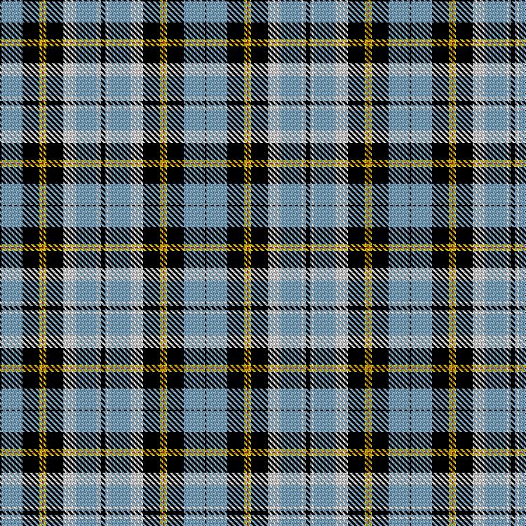 Tartan image: Mallinson, T (Personal). Click on this image to see a more detailed version.