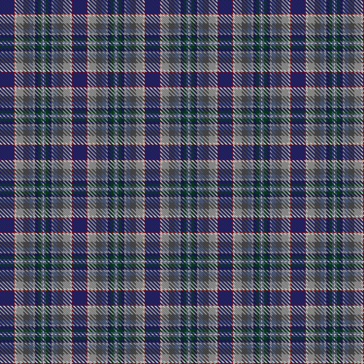 Tartan image: Avian Carrier. Click on this image to see a more detailed version.