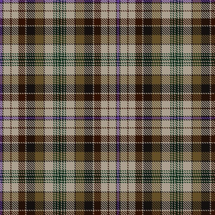Tartan image: Voorhout, Gary & Sylvia and Family (Personal). Click on this image to see a more detailed version.