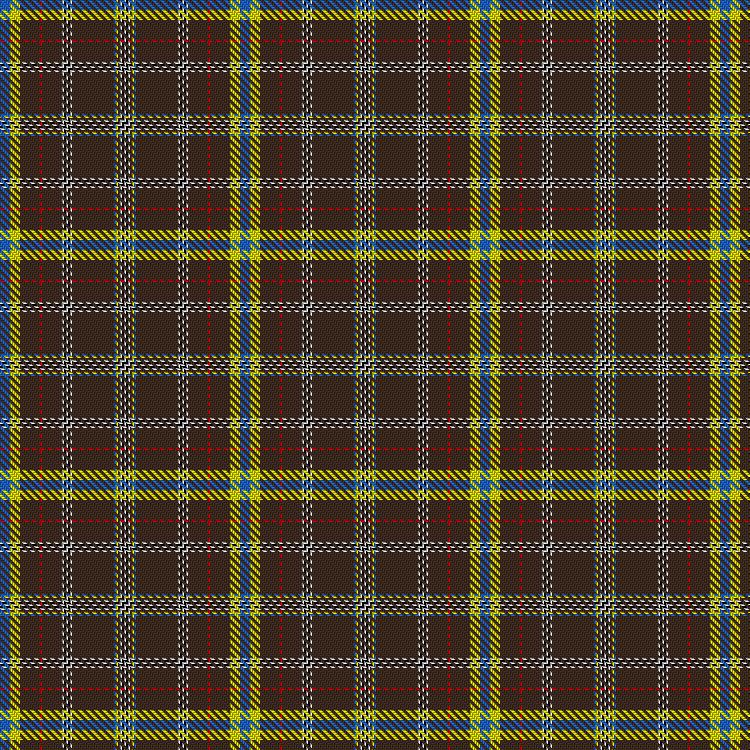 Tartan image: Duchess Anne Commemorative. Click on this image to see a more detailed version.