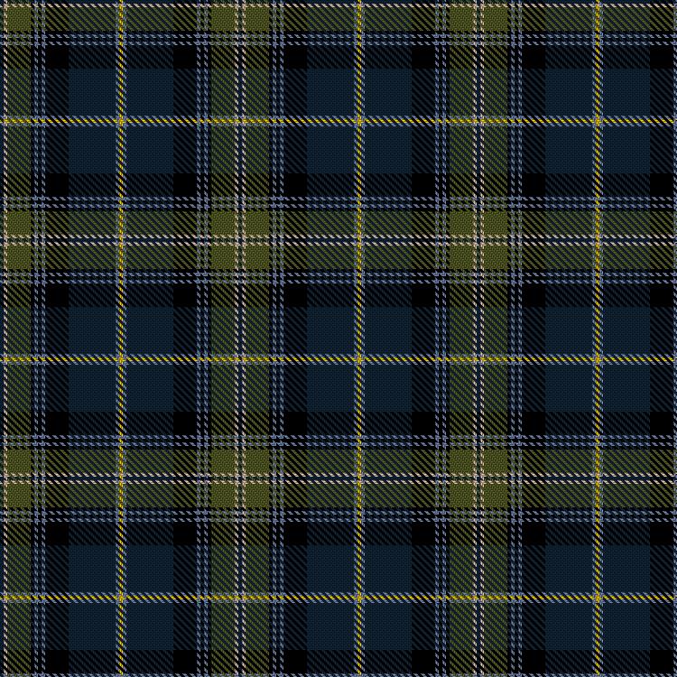 Tartan image: Moda Operandi. Click on this image to see a more detailed version.