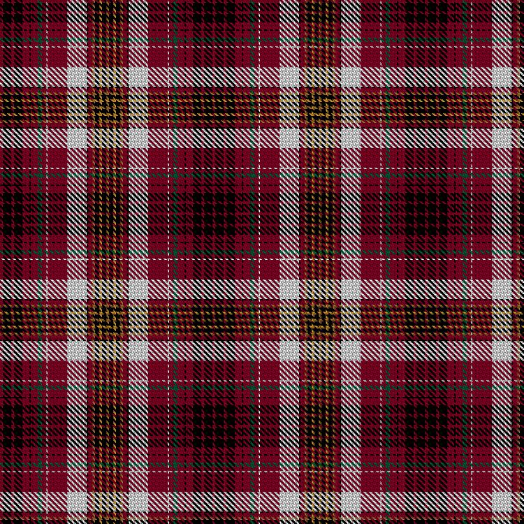 Tartan image: Aichberger, K & Ansorge, E (Personal). Click on this image to see a more detailed version.