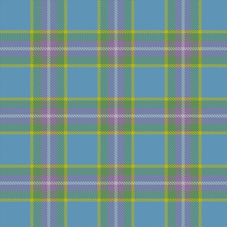 Tartan image: Dishman, Timothy & Family (Personal). Click on this image to see a more detailed version.