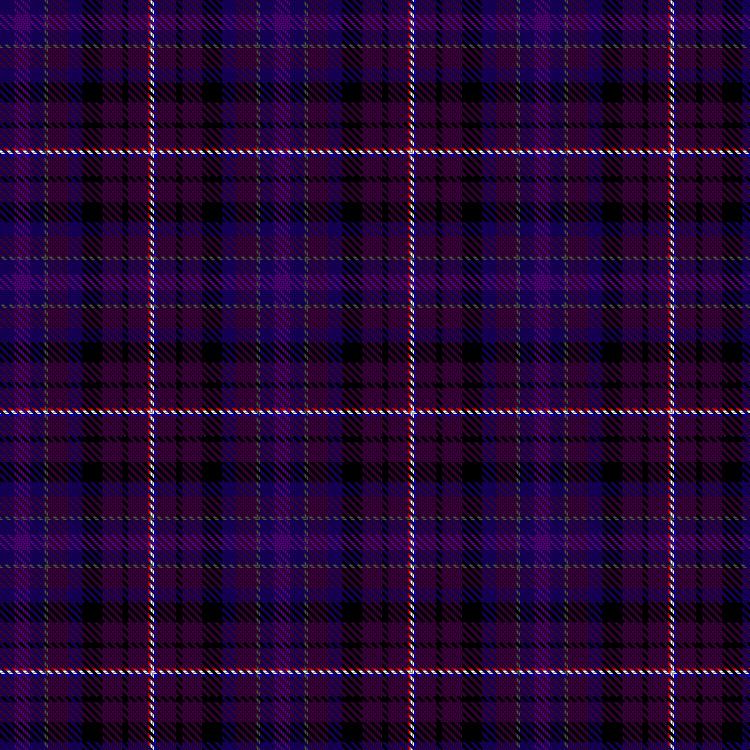 Tartan image: Dembrowicz, F and Family (Personal). Click on this image to see a more detailed version.