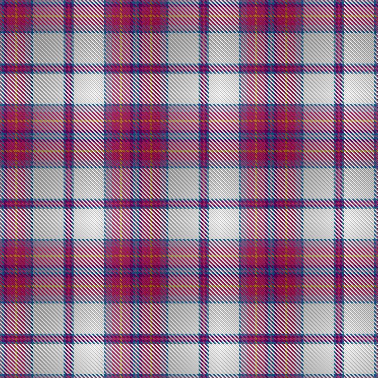 Tartan image: Ward, Craig Dress (Personal). Click on this image to see a more detailed version.