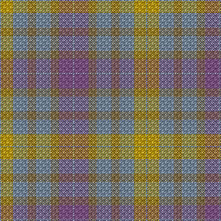 Tartan image: Froach's Grian. Click on this image to see a more detailed version.