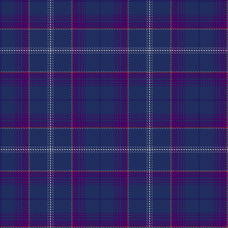 Tartan image: Hillsden, Kenneth J (Personal). Click on this image to see a more detailed version.