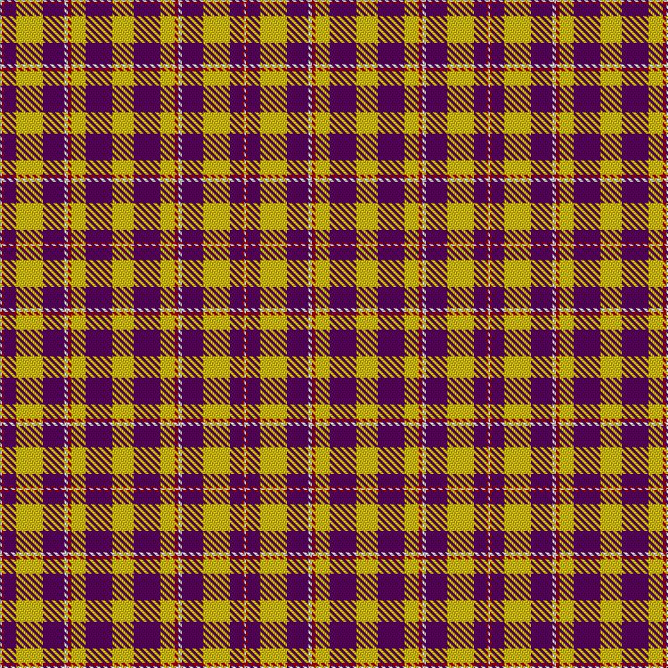 Tartan image: Heerendispuut Nobiscum. Click on this image to see a more detailed version.