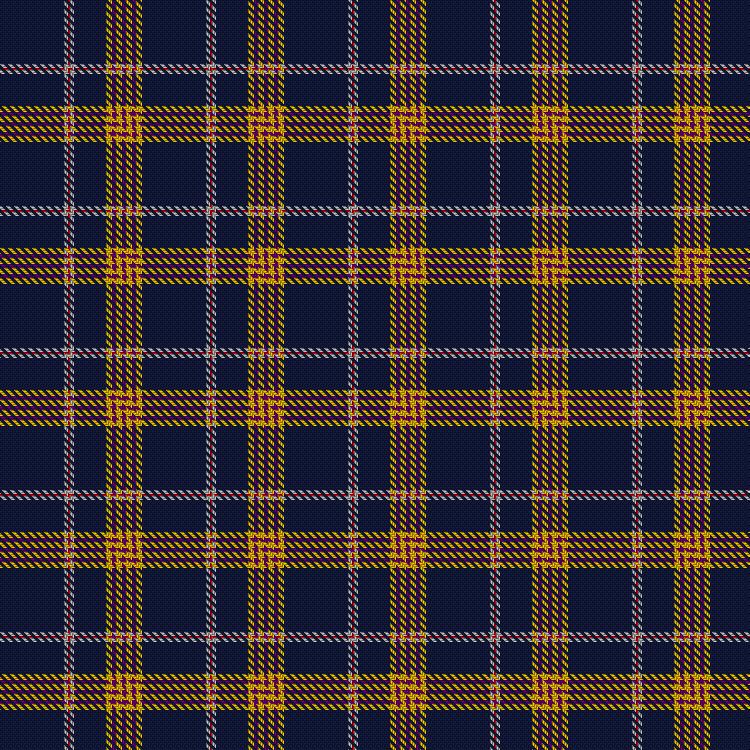 Tartan image: Foster, William Martin & Family (Personal). Click on this image to see a more detailed version.