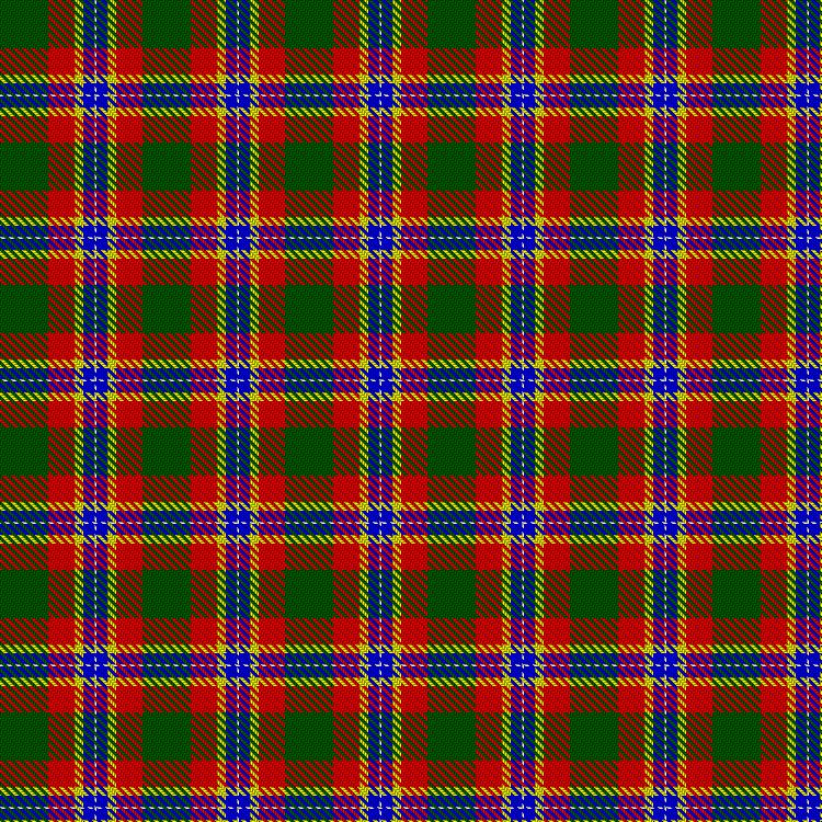 Tartan image: Fionnlagh, N E & Family (Personal). Click on this image to see a more detailed version.