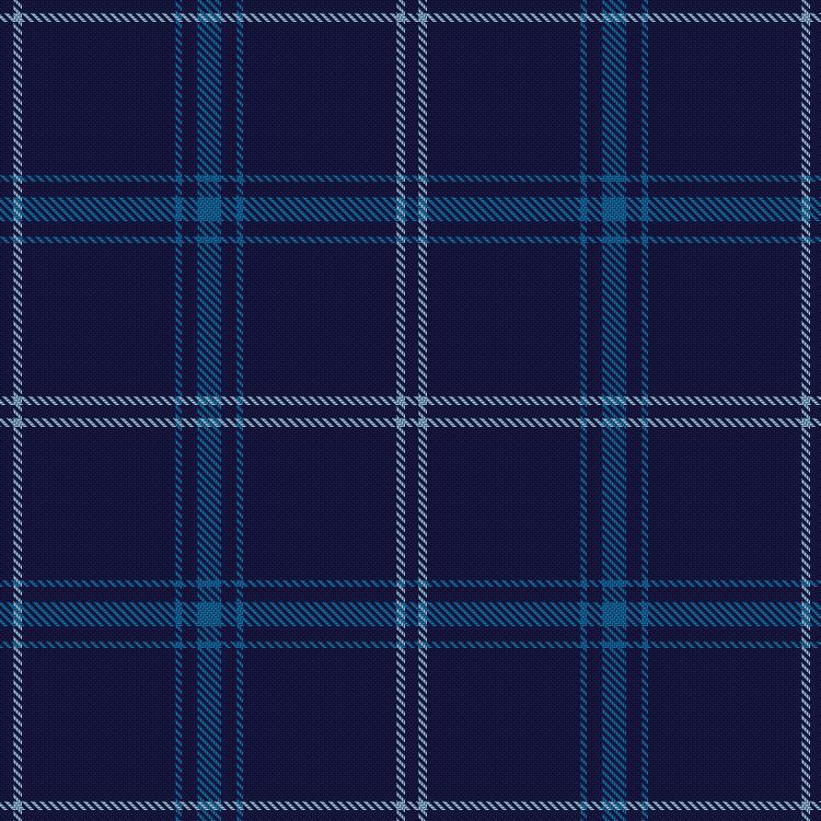 Tartan image: Auchairne. Click on this image to see a more detailed version.