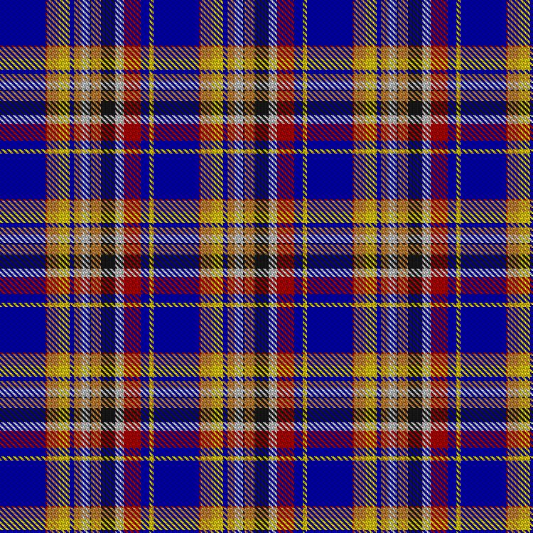 Tartan image: Edinburgh Fashion Festival. Click on this image to see a more detailed version.