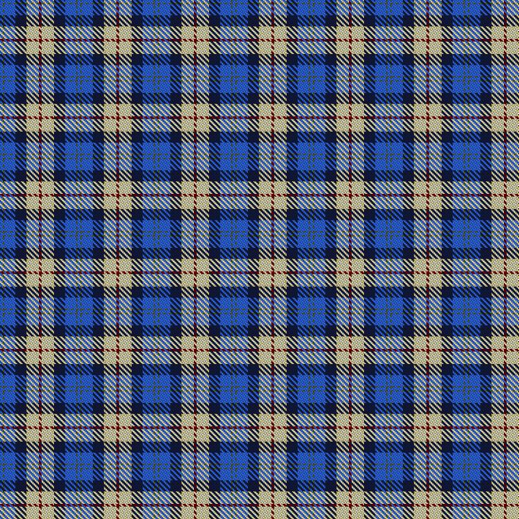 Tartan image: Elliott, Lynn & Family (Personal). Click on this image to see a more detailed version.