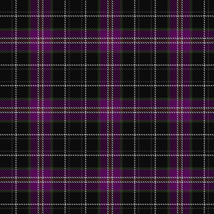 Tartan image: Timmons, James (Personal). Click on this image to see a more detailed version.