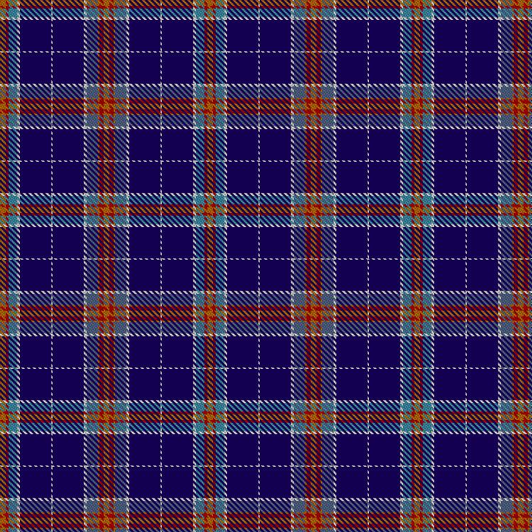 Tartan image: Lusty, Caroline (Personal). Click on this image to see a more detailed version.