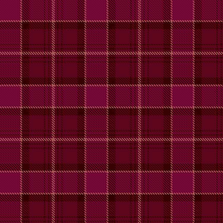 Tartan image: Holt Renfrew Ogilvy. Click on this image to see a more detailed version.