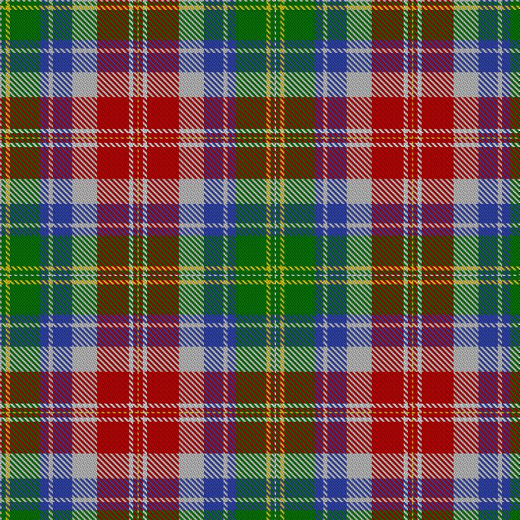 Tartan image: Veitch, H & Family (Personal). Click on this image to see a more detailed version.