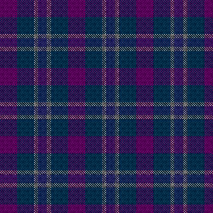 Tartan image: Hulderman, S & Family (Personal). Click on this image to see a more detailed version.