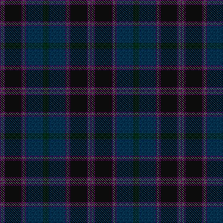 Tartan image: Peier, Matthias & Kleiner, Manuela and Family (Personal). Click on this image to see a more detailed version.
