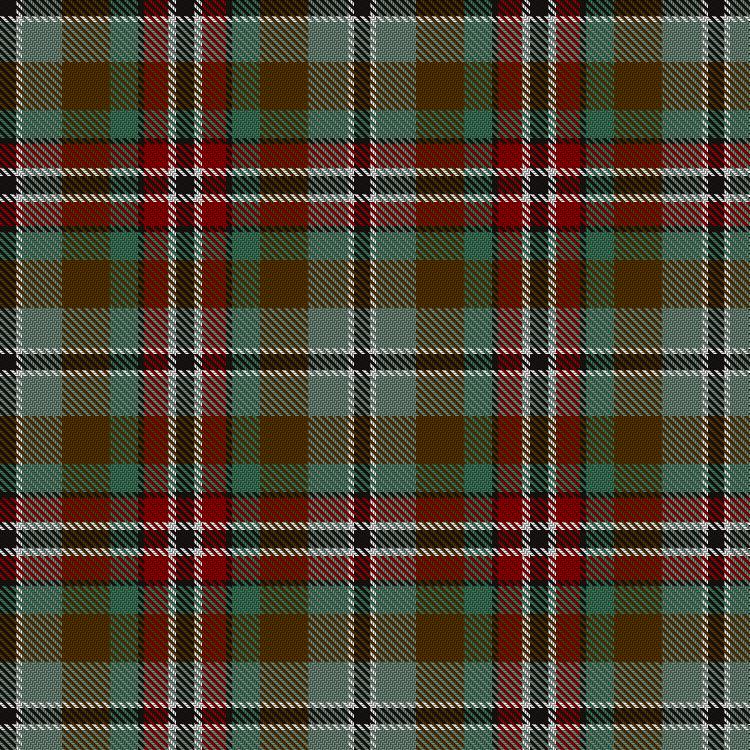 Tartan image: ter Haar, M & Family (Personal). Click on this image to see a more detailed version.