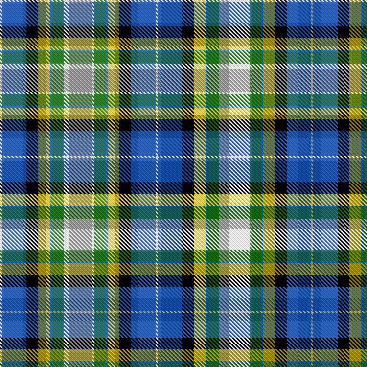 Tartan image: Wilderspin, Merryn (Personal). Click on this image to see a more detailed version.