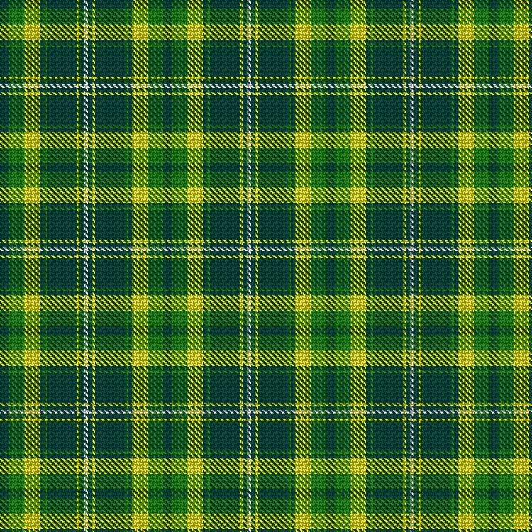 Tartan image: Le Tir. Click on this image to see a more detailed version.