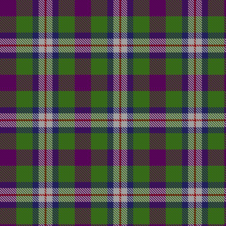 Tartan image: Hobbs, Nicholas Scott and Rhonda Maxine (Personal). Click on this image to see a more detailed version.