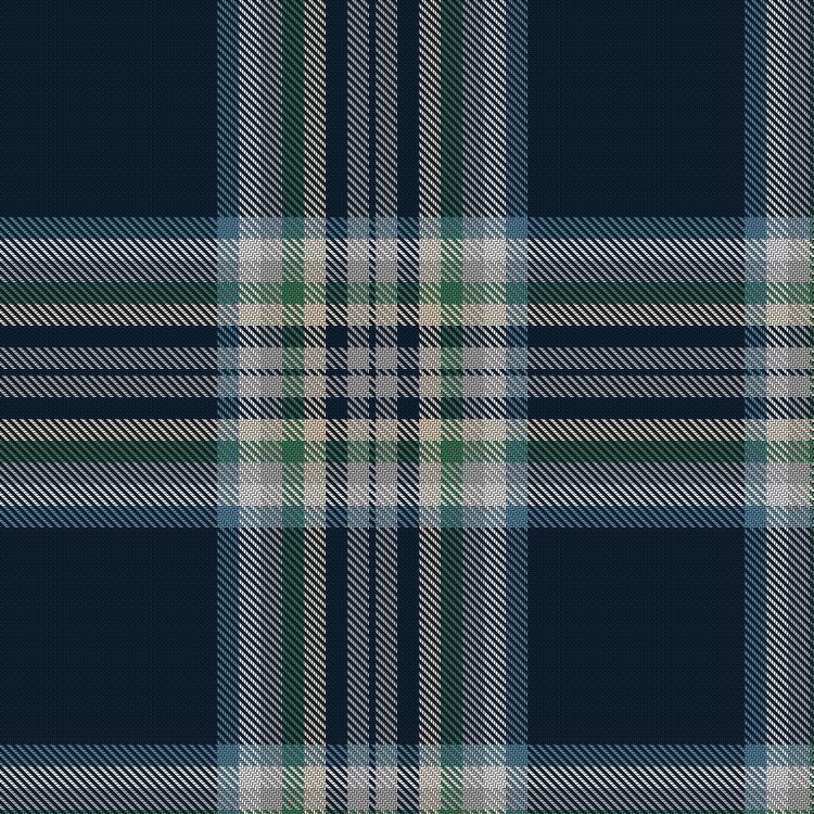 Tartan image: Coast by Navygrey. Click on this image to see a more detailed version.
