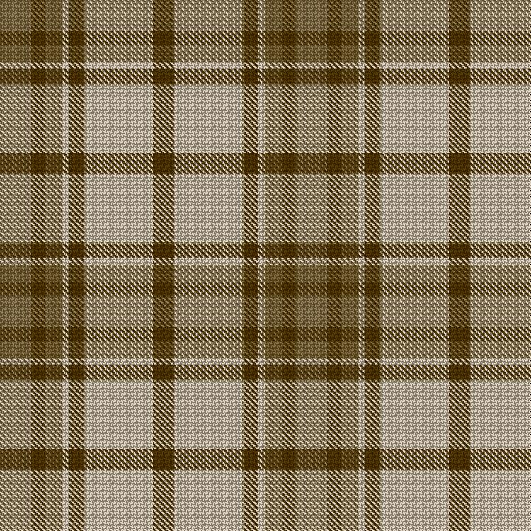 Tartan image: 2045 Earth. Click on this image to see a more detailed version.