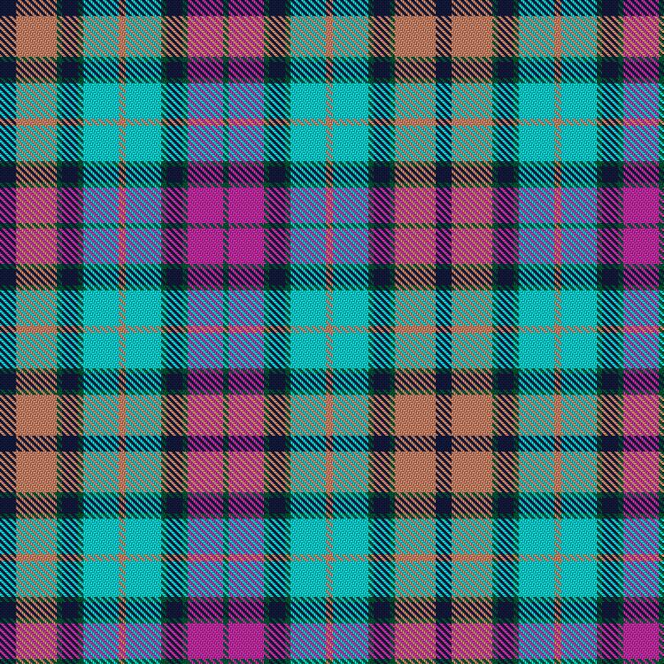 Tartan image: Buchanan Inauguration. Click on this image to see a more detailed version.