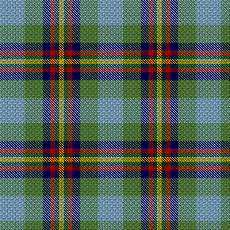 Tartan image: Chan, Marco & Family (Personal). Click on this image to see a more detailed version.