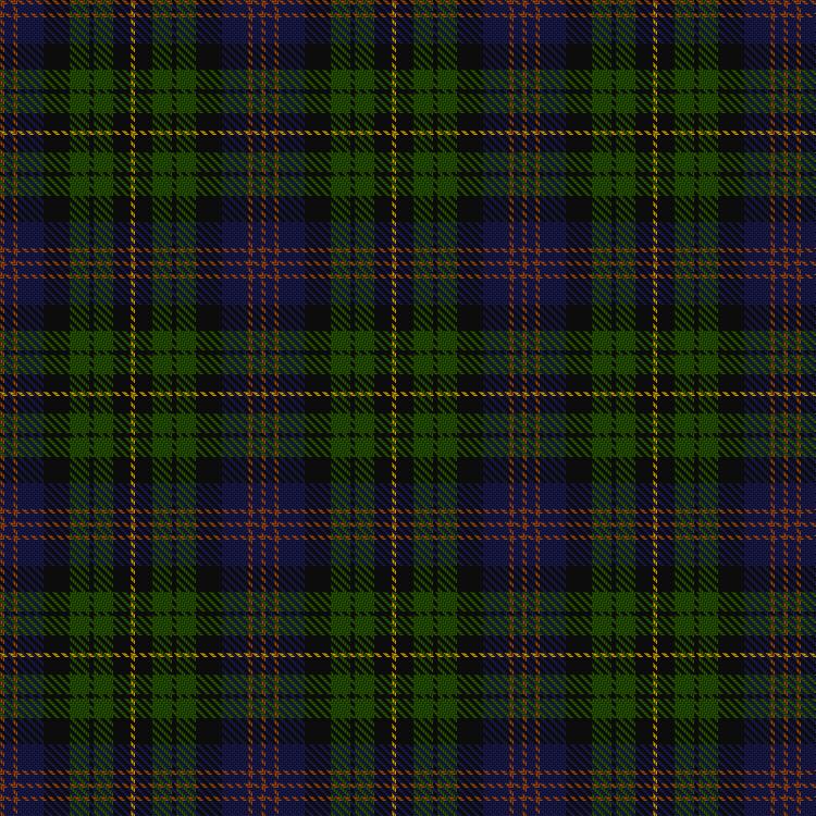 Tartan image: LaFemina, Peter & Lori and Family (Personal). Click on this image to see a more detailed version.