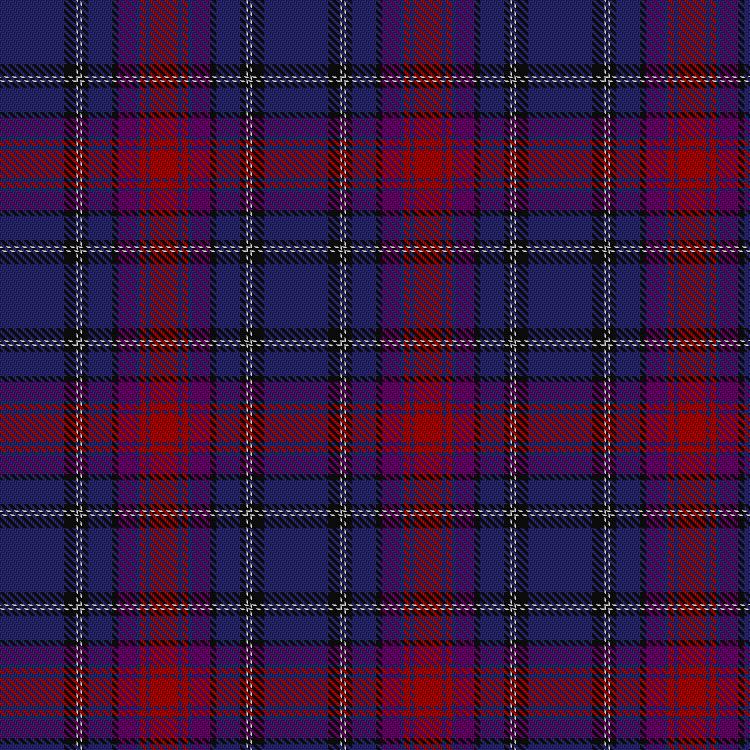 Tartan image: Dellman, C & Family (Personal). Click on this image to see a more detailed version.