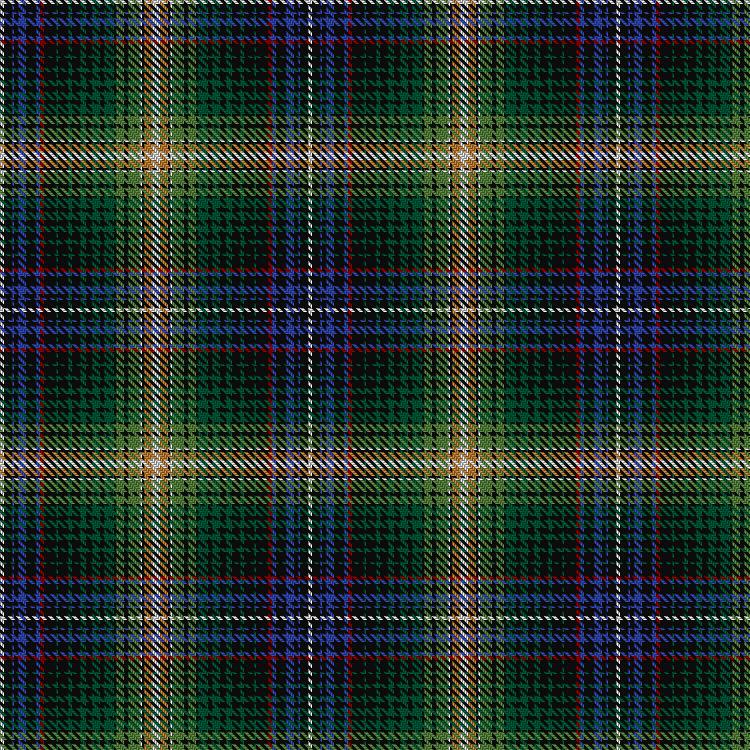 Tartan image: Smith, Shaila and Seán (Personal). Click on this image to see a more detailed version.