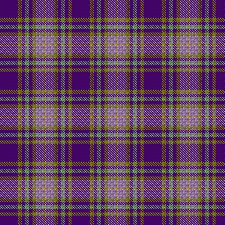 Tartan image: Trujillo, A & Family (Personal). Click on this image to see a more detailed version.