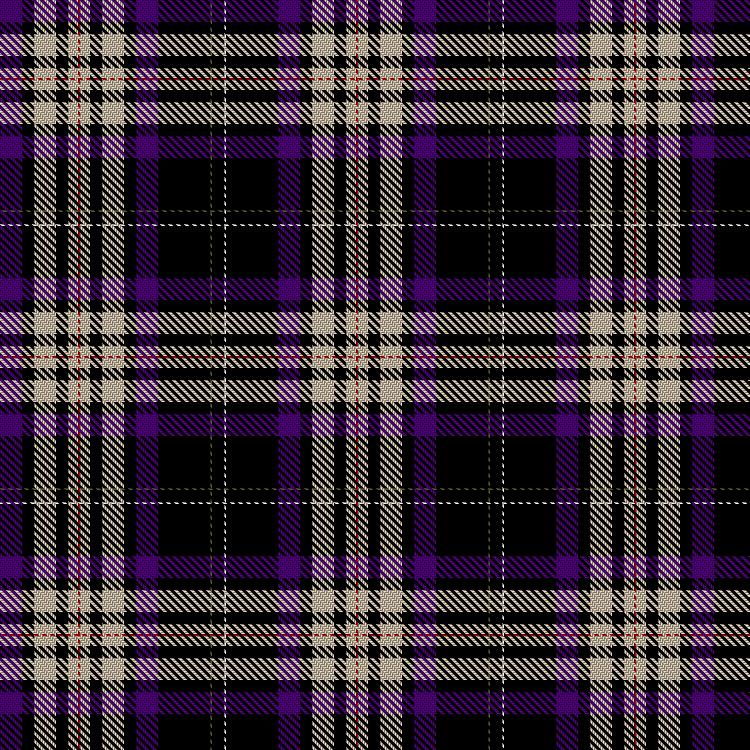 Tartan image: MacBride, W M & Family (Personal). Click on this image to see a more detailed version.