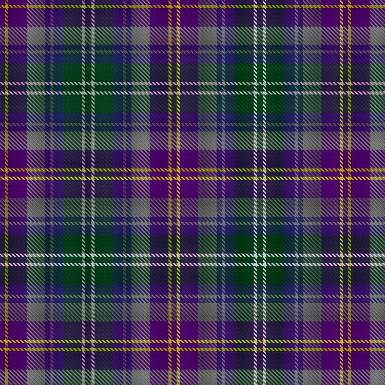 Tartan image: Veitch, H & Family Hunting (Personal). Click on this image to see a more detailed version.